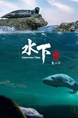 《水下中国第二季》：潜入未知的深蓝，探寻水下世界的奥秘