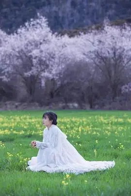 《李子柒古香古食全集》：田园牧歌里的中华美食传奇