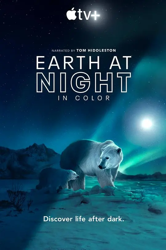 《夜色中的地球2》：震撼回归，揭秘黑暗中的生命奇观