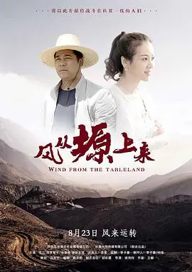 《风从塬上来》:黄土高原的诗意挽歌,吹不散的乡愁与记忆