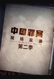 《罪案现场实录第二季》：悬念迭起，抽丝剥茧，揭秘人性深处的黑暗与救赎！